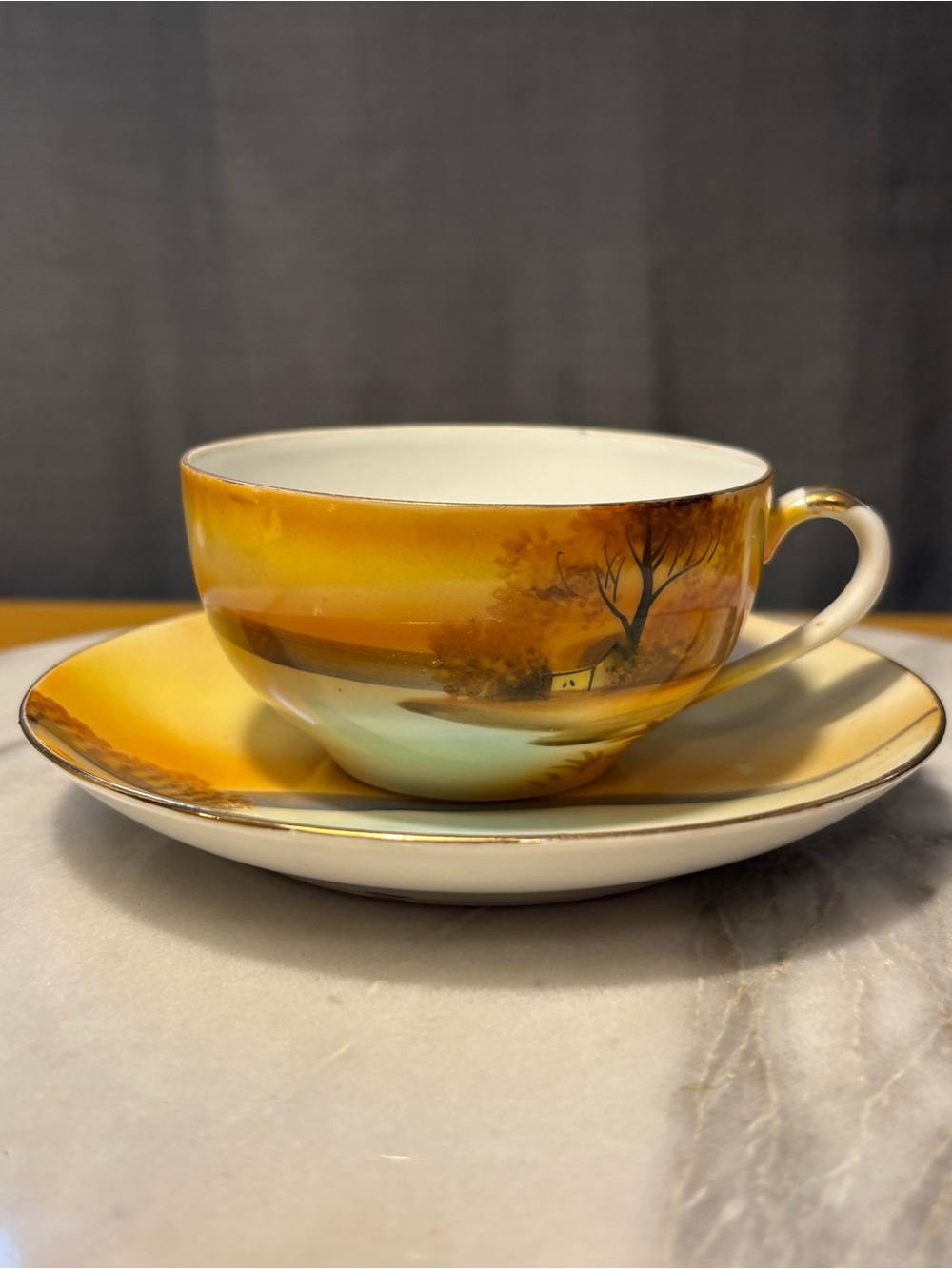 Noritake Hand Painted Yellow Orange Scenic Teacup and Saucer Set